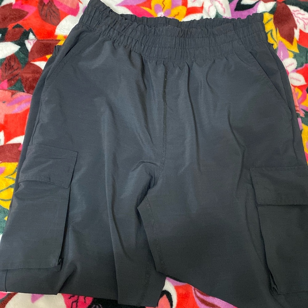 Fabletics Pants